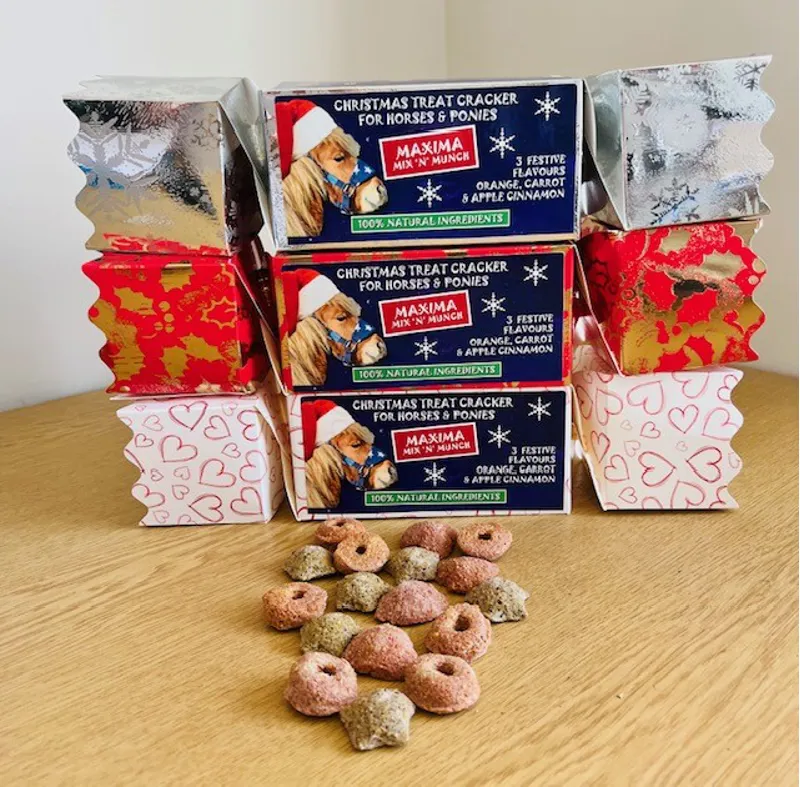 Maxima Christmas Cracker of Horse Treats Small